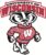 U WISCONSIN Should Stop Title IX Investigation Until Criminal Trial Concludes